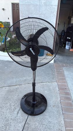 Fan