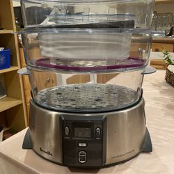 Health  Smart  Steamer