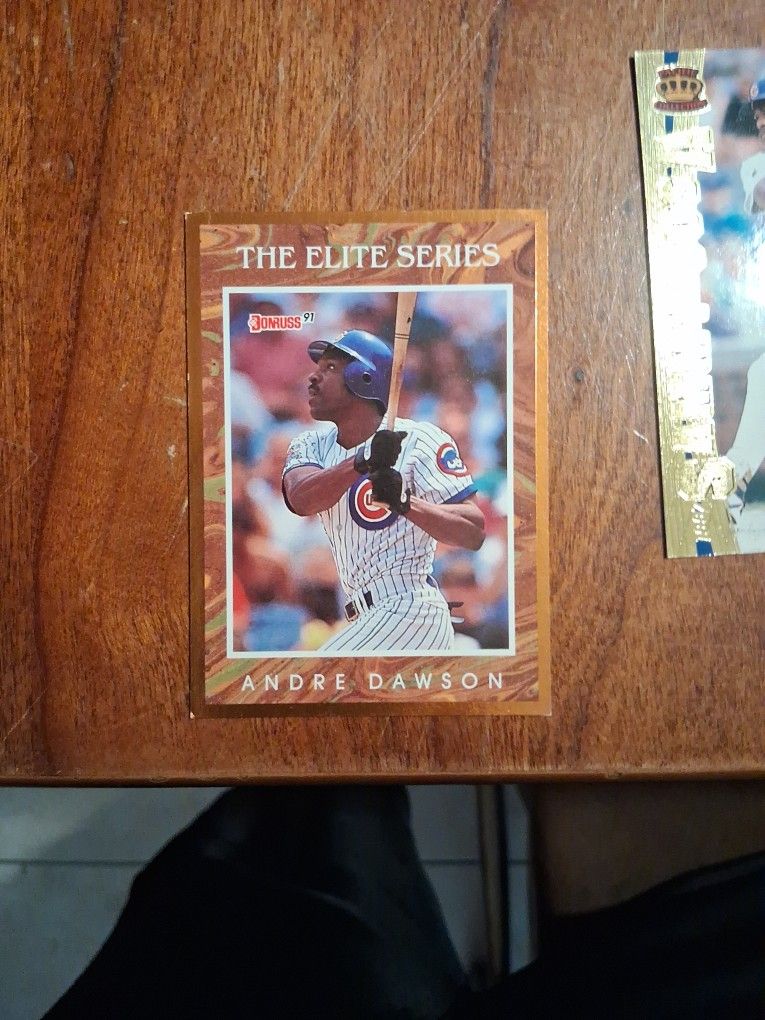 Andre Dawson 1991 Donruss