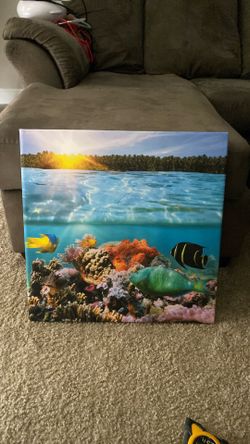 Acquatic Home Decor