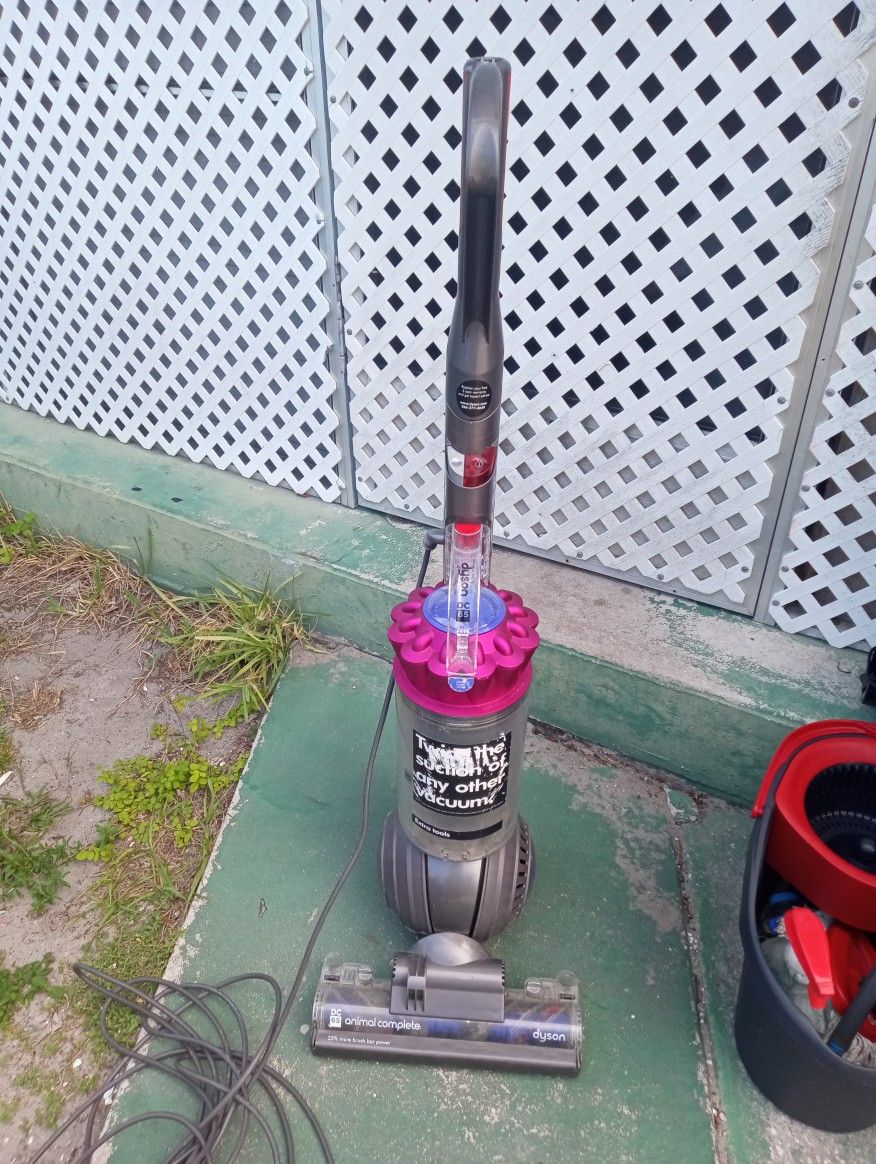 Dyson Ball DC65 Animal Vacuum