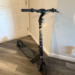 Bird Flex Electric Scooter