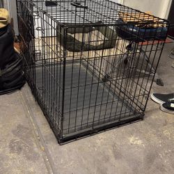 Dog Kennel