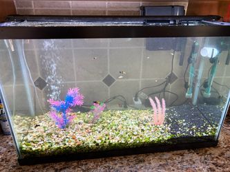 30 Gallon Aquarium/Fish Tank Complete Setup/Kit!!! Read entire listing