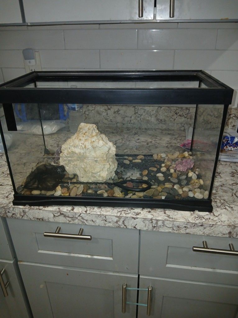 25 Gallon Fish Tank