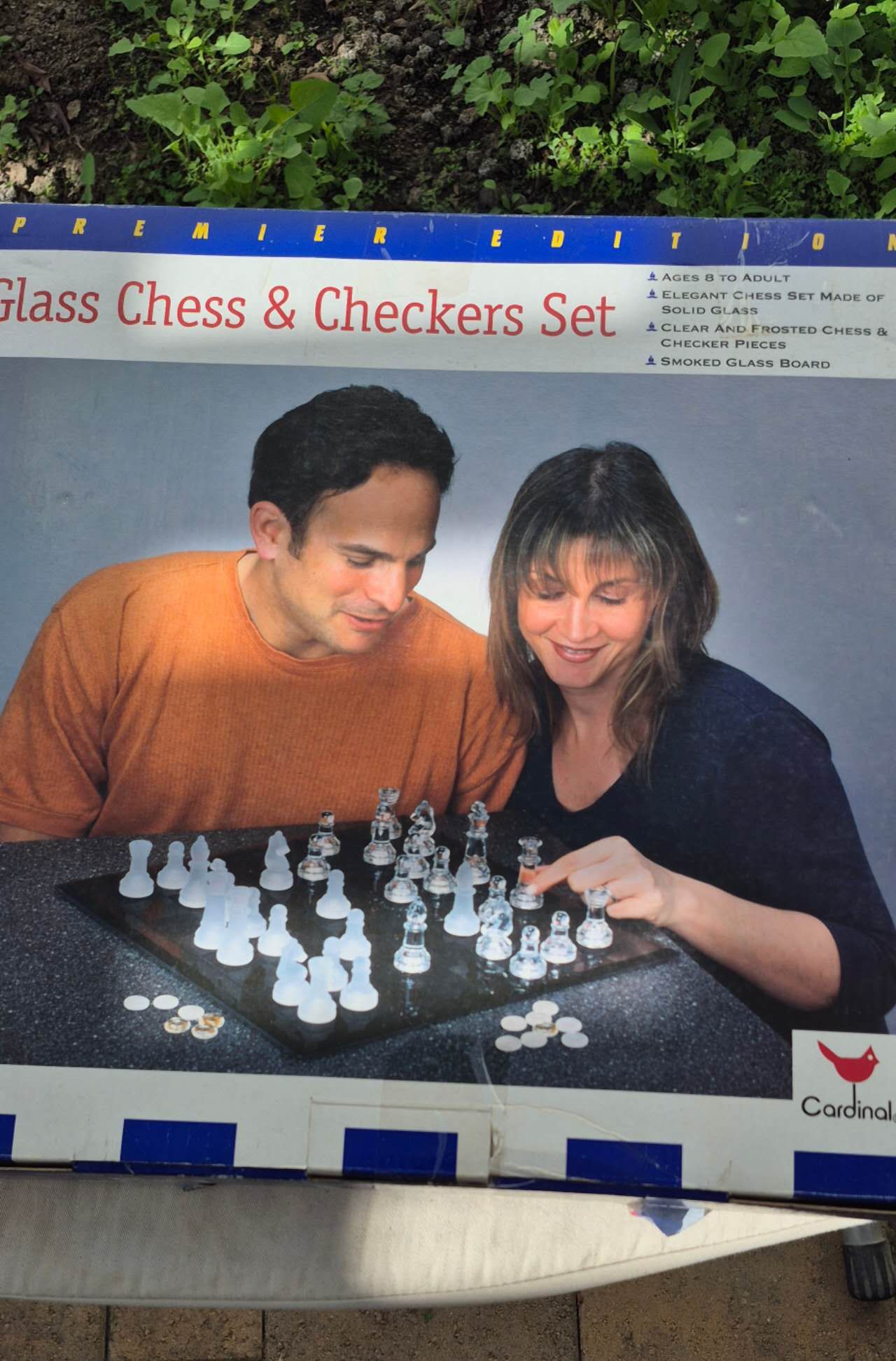 Glass Chess And Checker