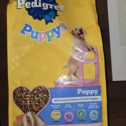 Pedigree Puppy 