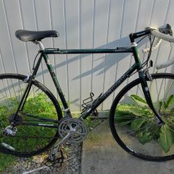 Bianchi Eros Vintage Dedacciai Steel Road Bike 