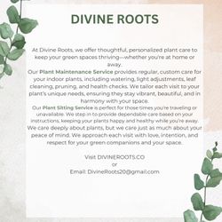 Plant sitting/Maintenance