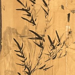 Asian Art Natural Plant