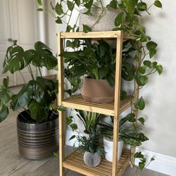 Bamboo Plant Stand / Multi-Use Shelf