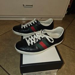 Gucci Shoes 