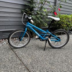 REI Co-op 20 Inch Bike 