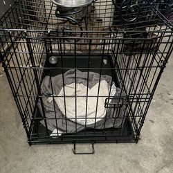 Dog Kennel 