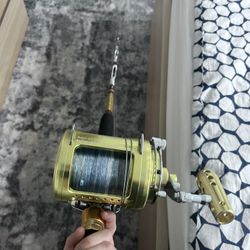 Gomexus 50 On  Custom Rod