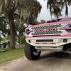 The Pink Panther 