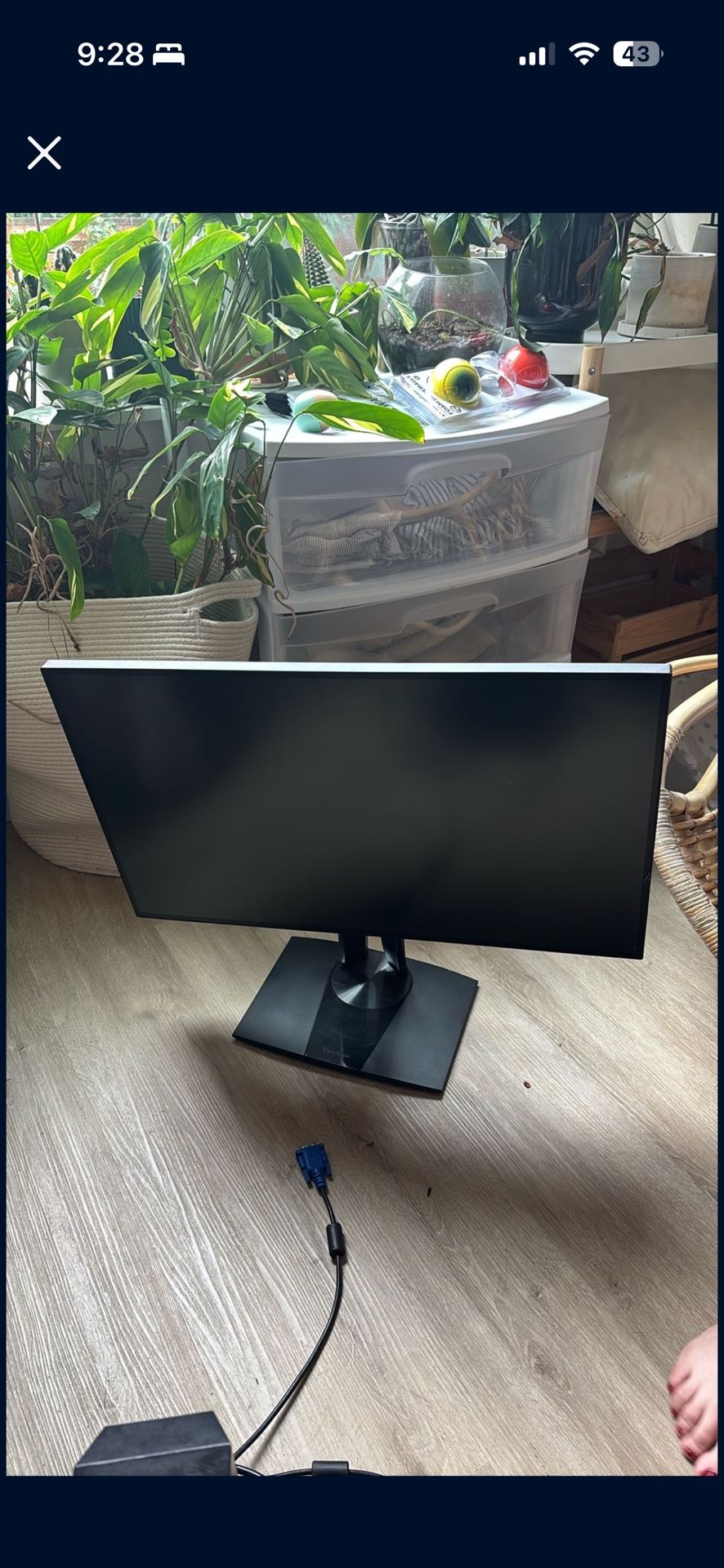Monitor