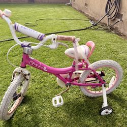 Royalbaby Bike
