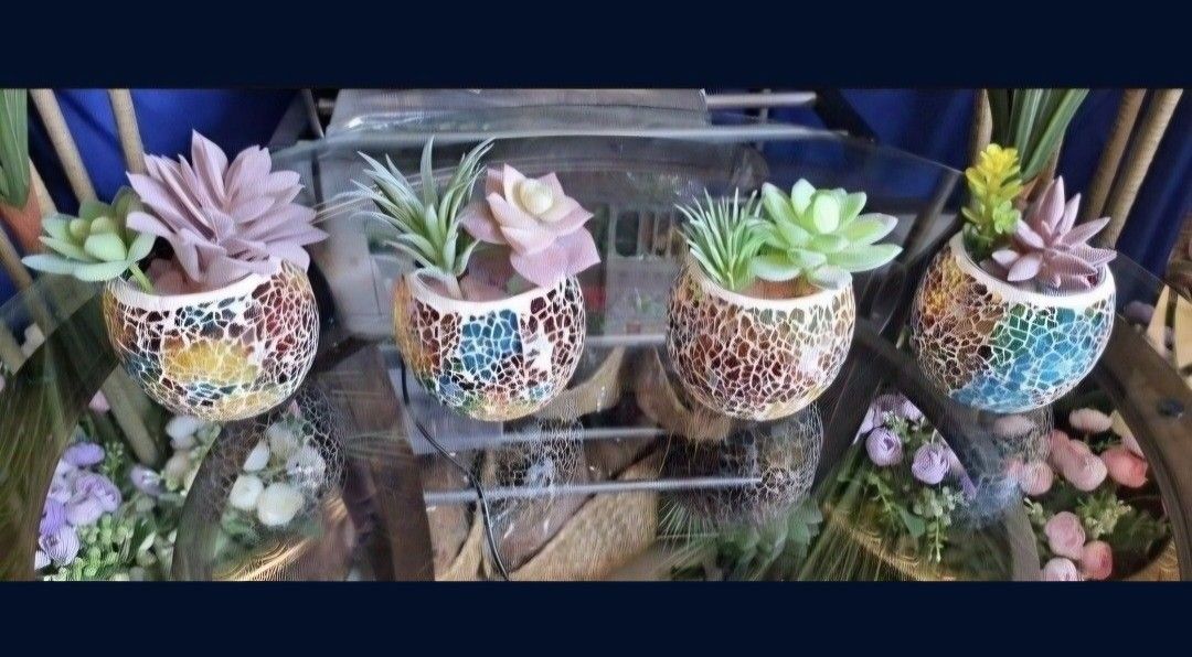 *** REDUCED *** Mini-Mosaics with Polished Stone / Succulents @ Lasting Creations