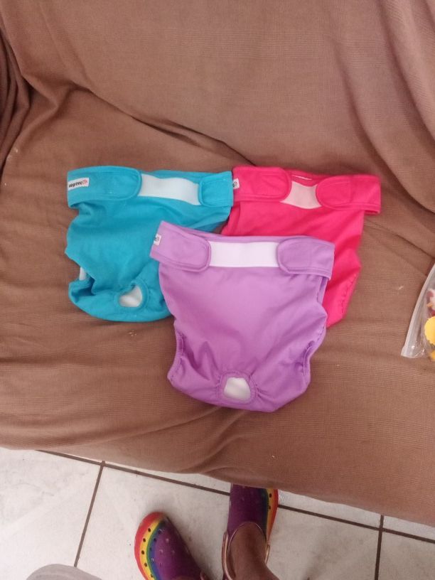 Female Dog Diapers