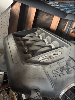 Mustang Intake with cover