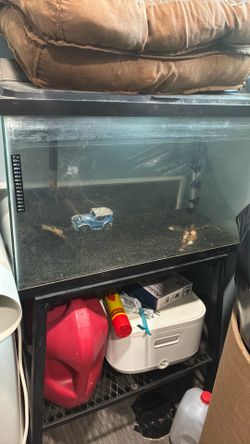 Fish tank with stand also filter and heater