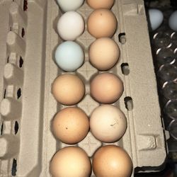 Eggs