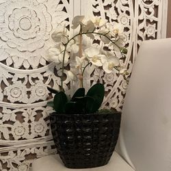 Artificial Orchid Flower in Beautiful Vase