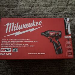 Milwaukee M12 Screwdriver Kit 