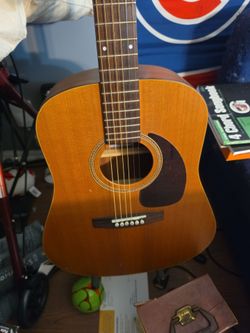 Acoustic Dreadnought Guitar seagull acoustic
