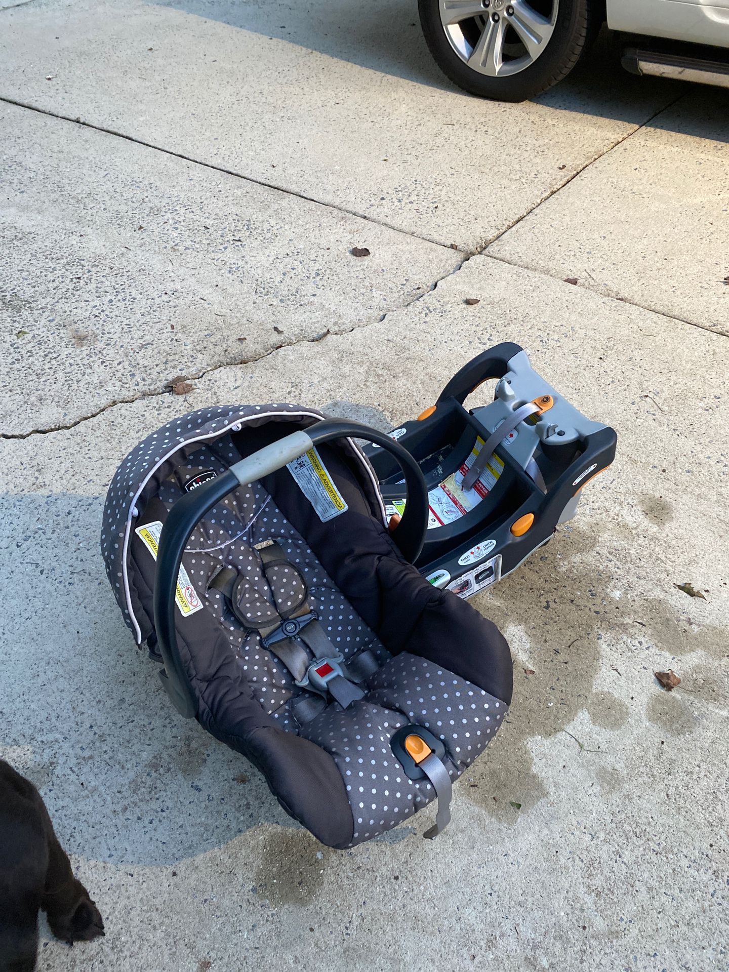 Chicco infant car seat gray polka dot with 2 bases