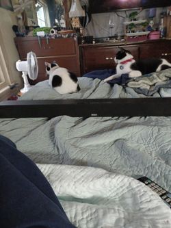 Rca Bluetooth Sound Bar