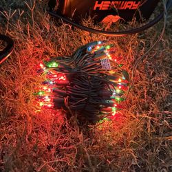 Christmas Lights