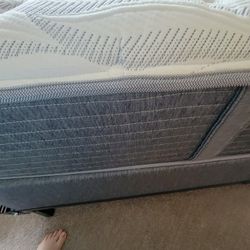 Queen Size Box Springs and Mattress