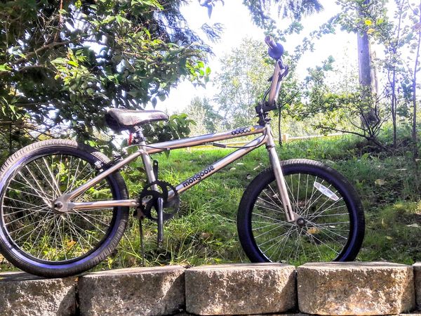 mongoose index 1.0