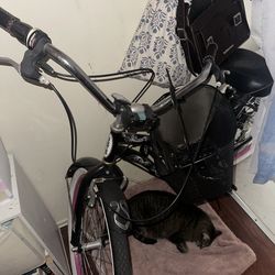 Schwinn woman’s girls bike 25” riverside cruiser bicycle