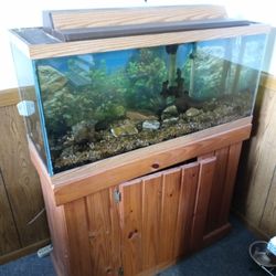 30 Gallon Fish Tank And Stand Plus Much More