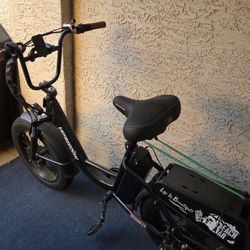 FREEDOM 5 SPEED ELECTRIC BIKE
