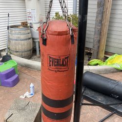 Everlast Choice Of Champion Punching Bag
