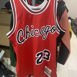 Michael Jordan Mitchell & Ness jersey Size Large Brand New With Tags 