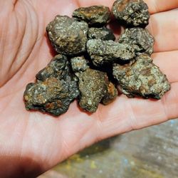 Meteorites 