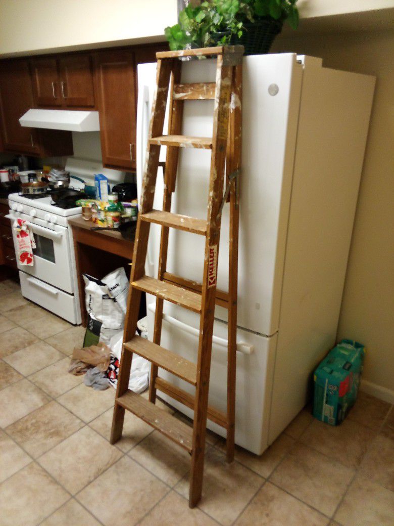 6' Ladder 