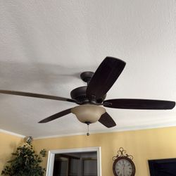 Ceiling Fan