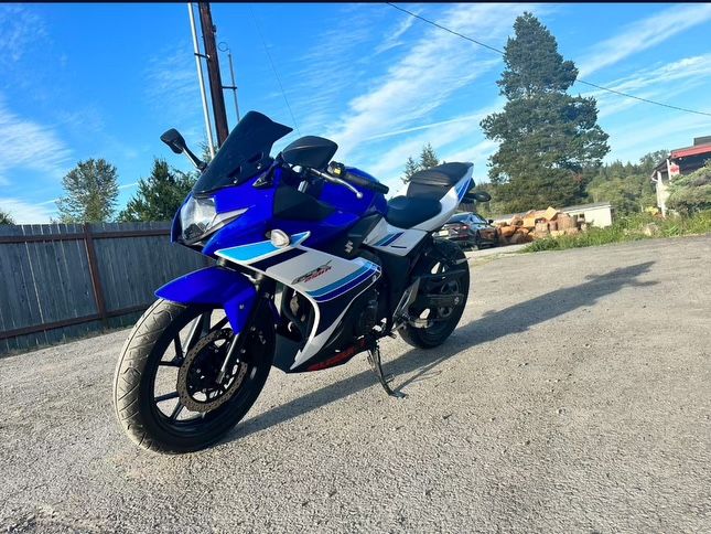2019 suzuki gsxr 250