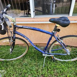 Schwinn Searcher  w/bag