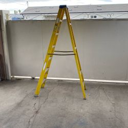 Werner 7 Ft. Ladder