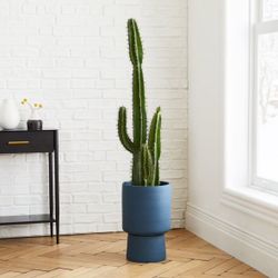 West Elm - Faux Potted Cactus Plant & Medium Bishop Planter Bundle