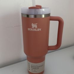 Stanley Tumbler UNUSED 40oz Salmon Color