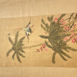 Five Vintage Beautiful Bird Painting Prints