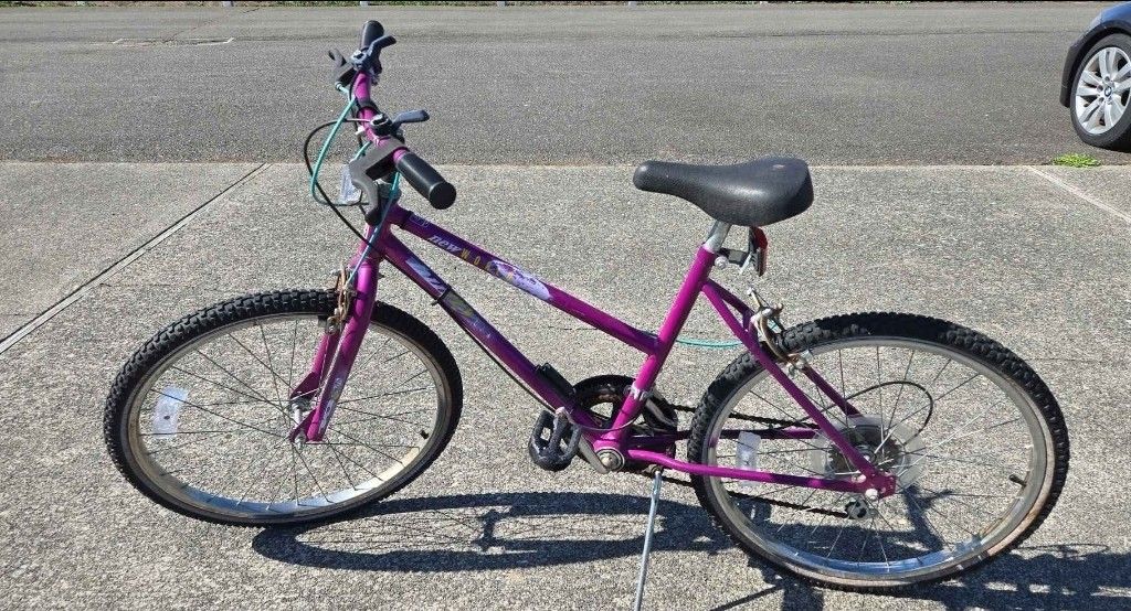10 Speed Mountain Bike 20"